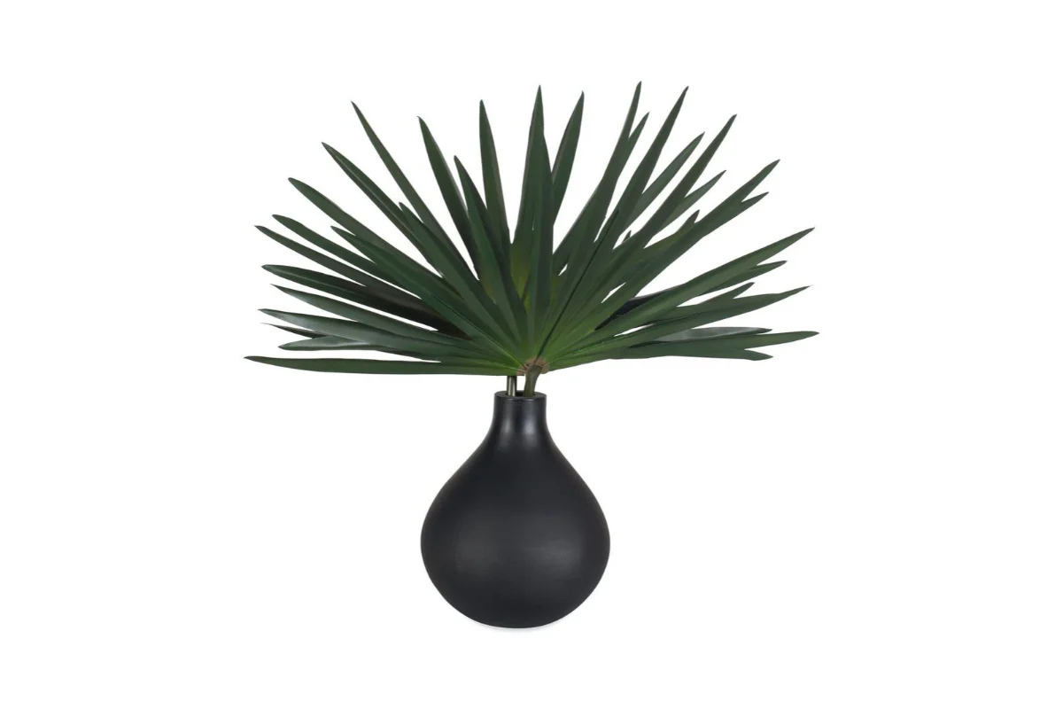 Axis Plant