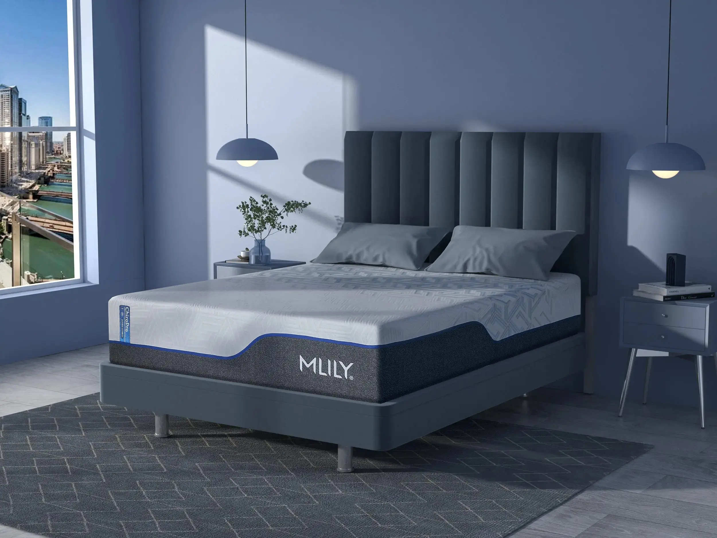 Chiropro 1.0 Firm Mattress - Image 50