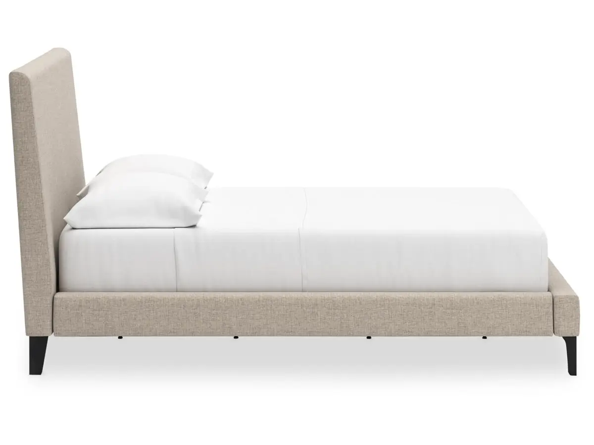 Cielden Upholstered Bed - Image 12
