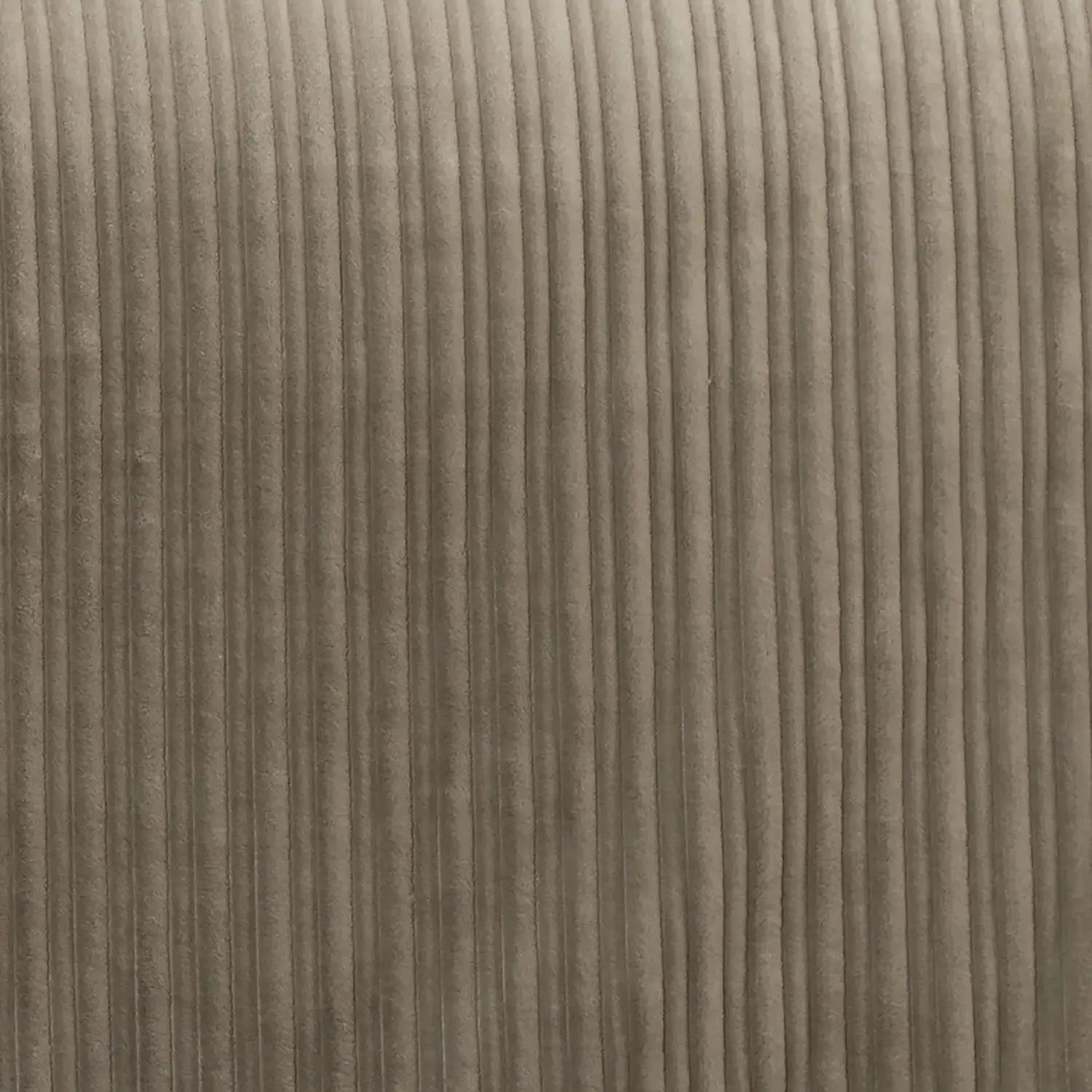 Downy Coverlet - Image 11