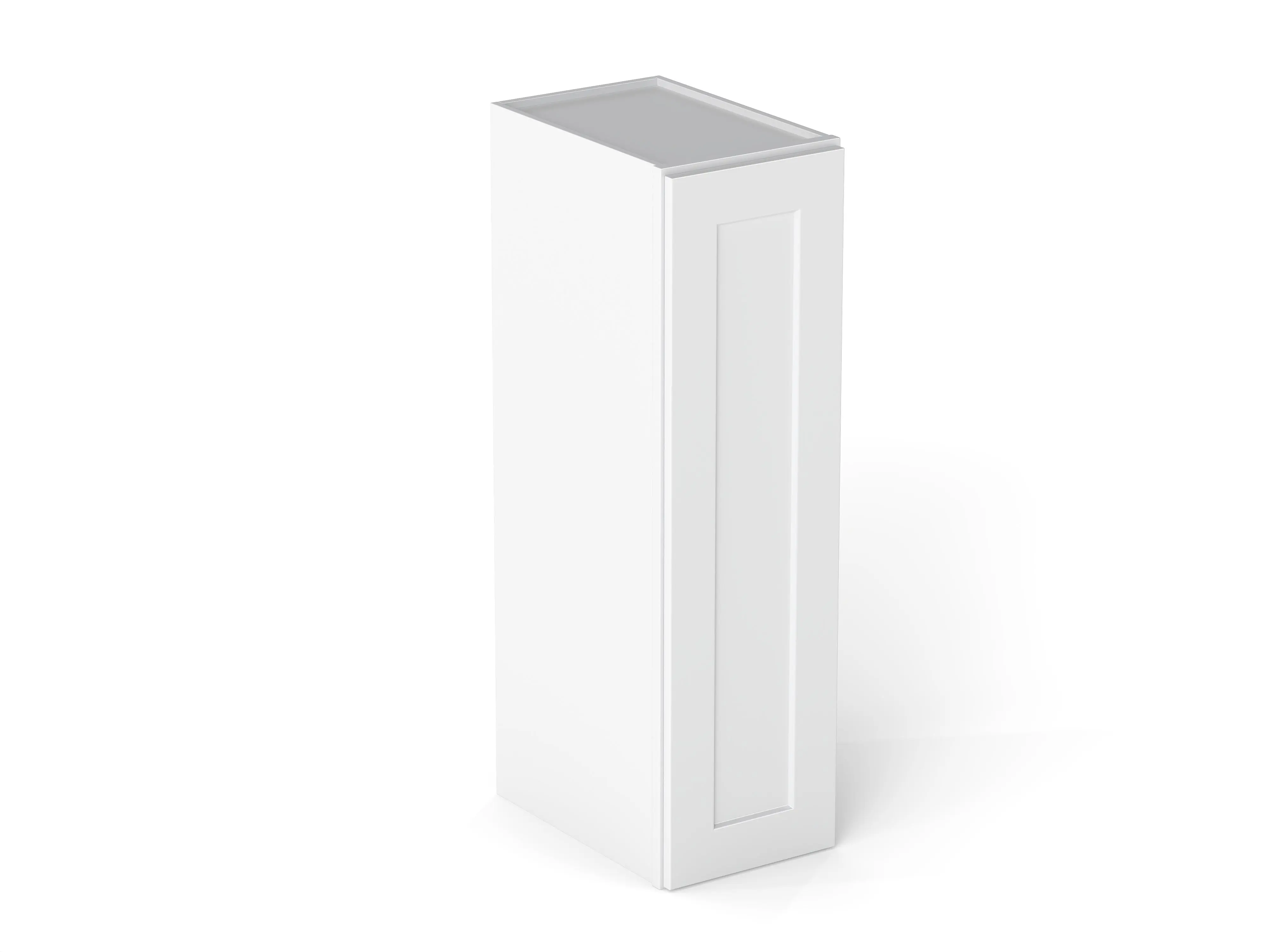 Elegant 1 Door Wall Cabinet With 2 Shelves