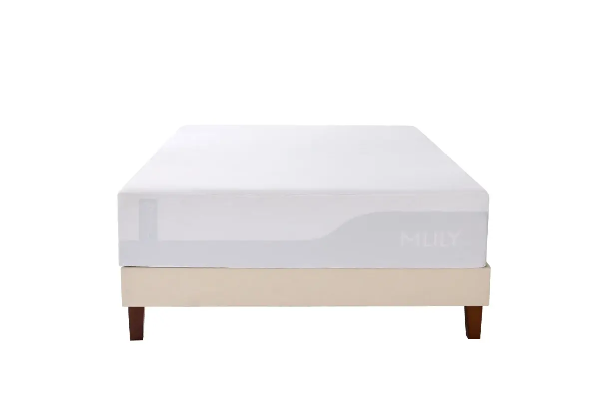 Encased Mattress Protector - Image 6