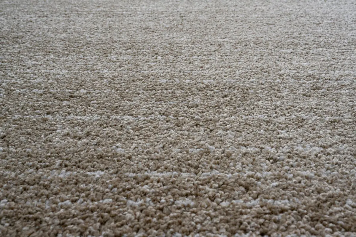Granada Arena Rug - Image 4