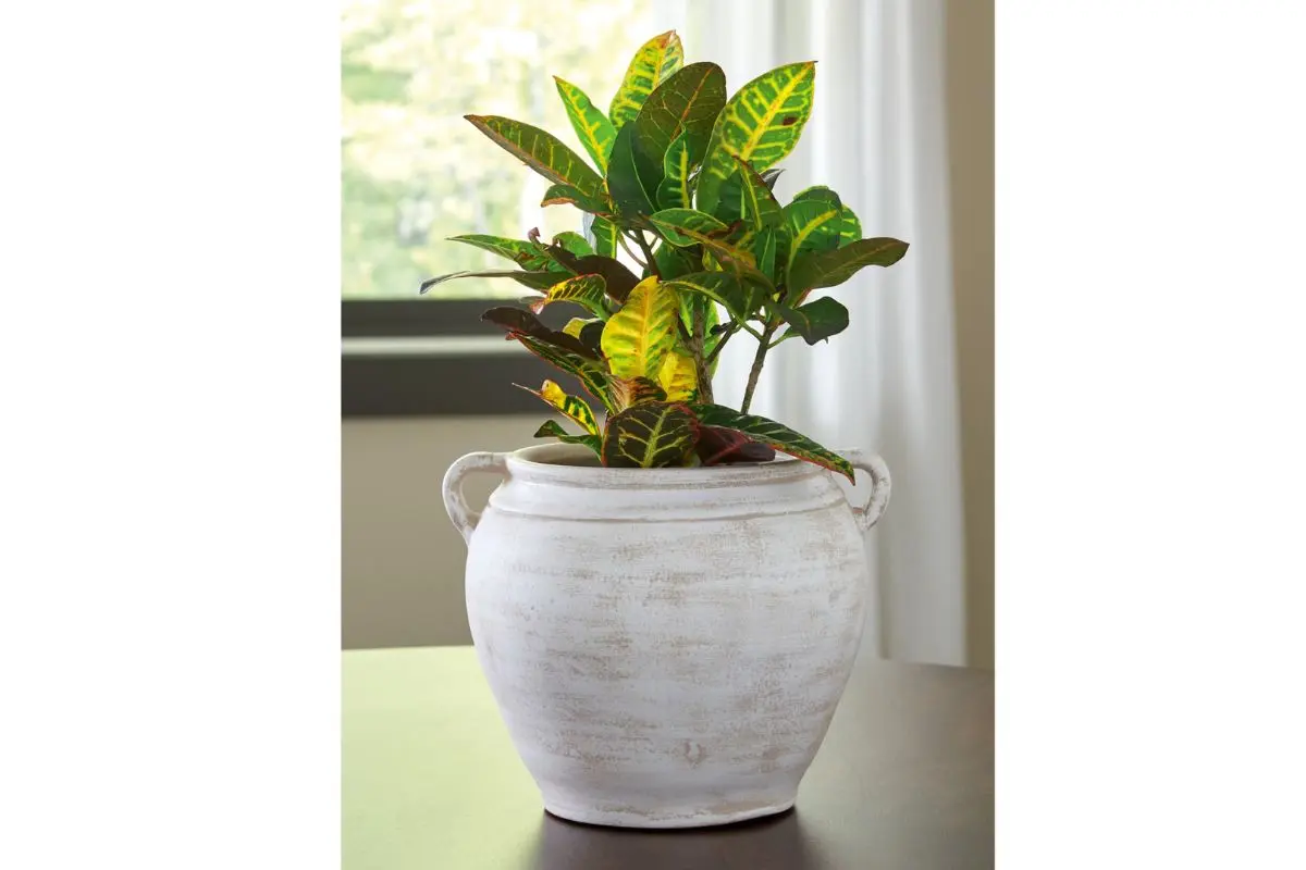 Meadie Vase - Image 6