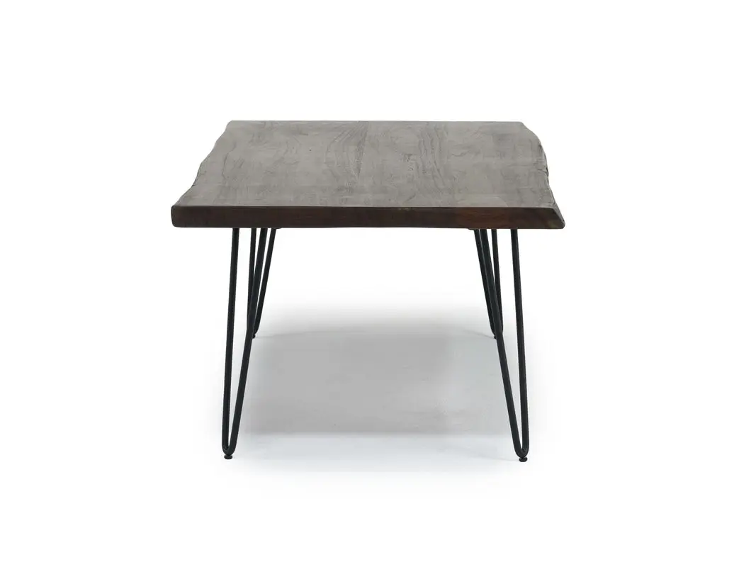 Natures Edge Coffee Table - Image 3