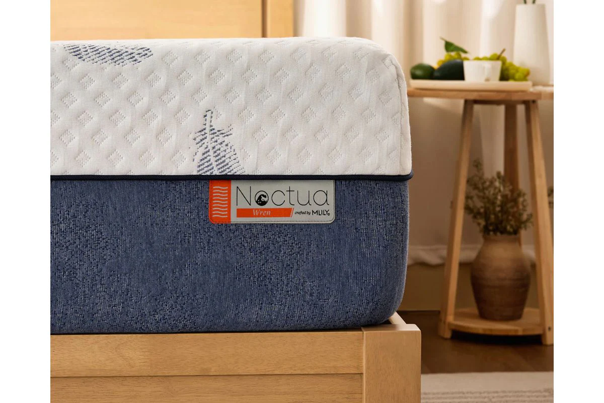 Noctua 12 Inch Wren Hybrid Mattress Dropship - Image 114